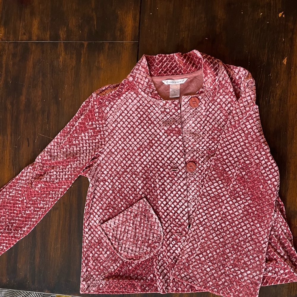 Cuddle Down Long Sleeve Velvet Shirt
